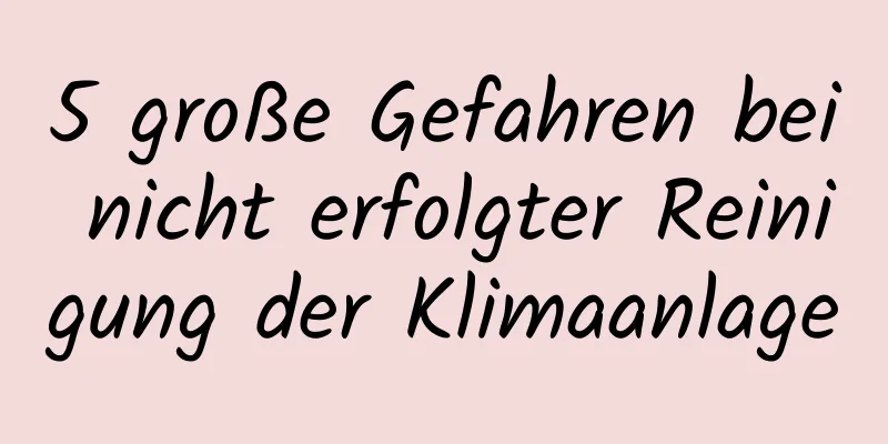 5 große Gefahren bei nicht erfolgter Reinigung der Klimaanlage