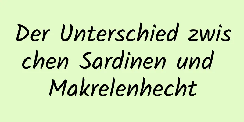 Der Unterschied zwischen Sardinen und Makrelenhecht