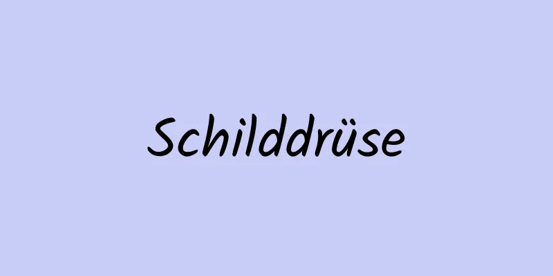 Schilddrüse