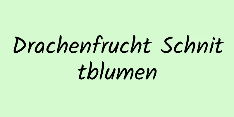 Drachenfrucht Schnittblumen