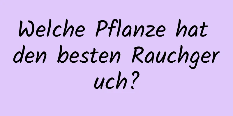 Welche Pflanze hat den besten Rauchgeruch?