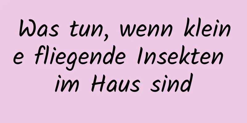 Was tun, wenn kleine fliegende Insekten im Haus sind