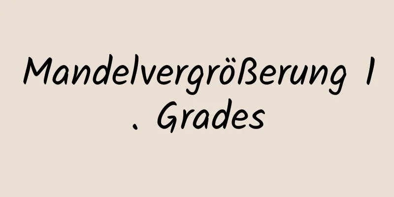 Mandelvergrößerung 1. Grades