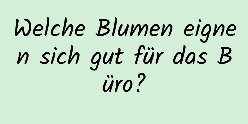 Welche Blumen eignen sich gut für das Büro?