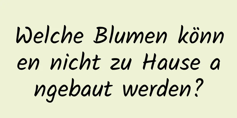 Welche Blumen können nicht zu Hause angebaut werden?