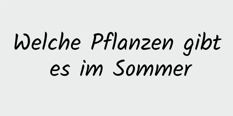 Welche Pflanzen gibt es im Sommer