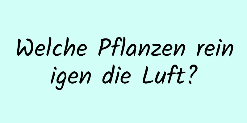 Welche Pflanzen reinigen die Luft?