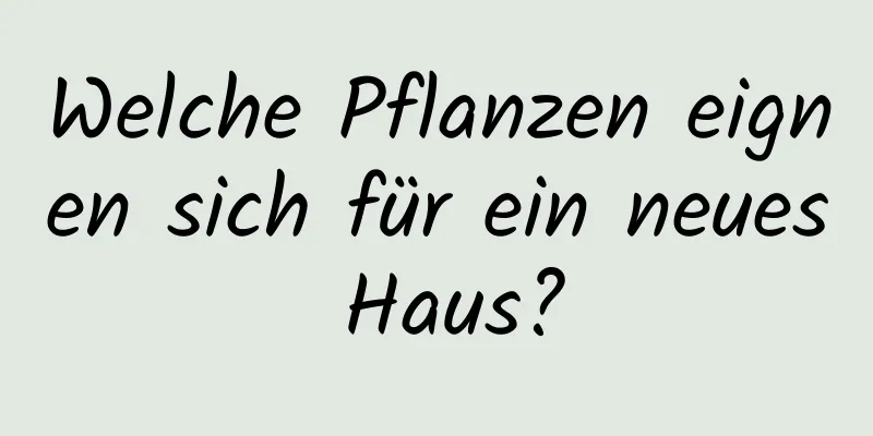 Welche Pflanzen eignen sich für ein neues Haus?