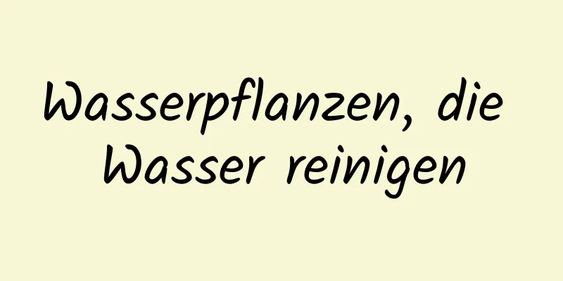 Wasserpflanzen, die Wasser reinigen