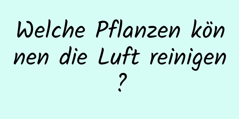 Welche Pflanzen können die Luft reinigen?