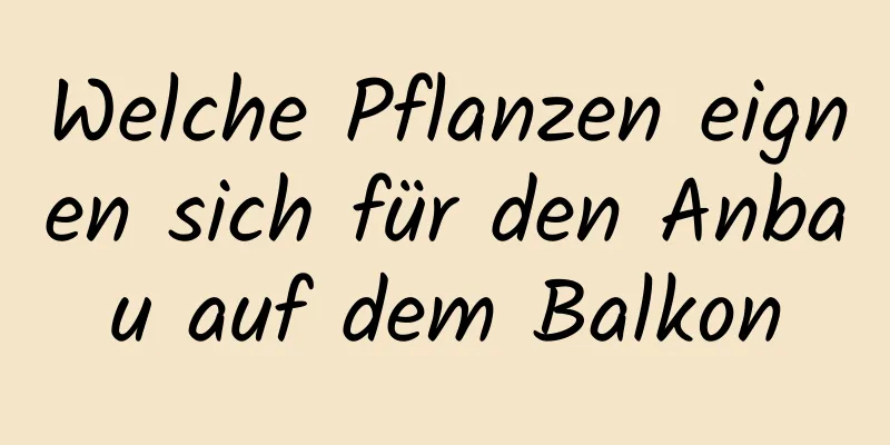Welche Pflanzen eignen sich für den Anbau auf dem Balkon