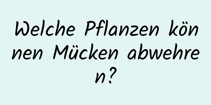 Welche Pflanzen können Mücken abwehren?