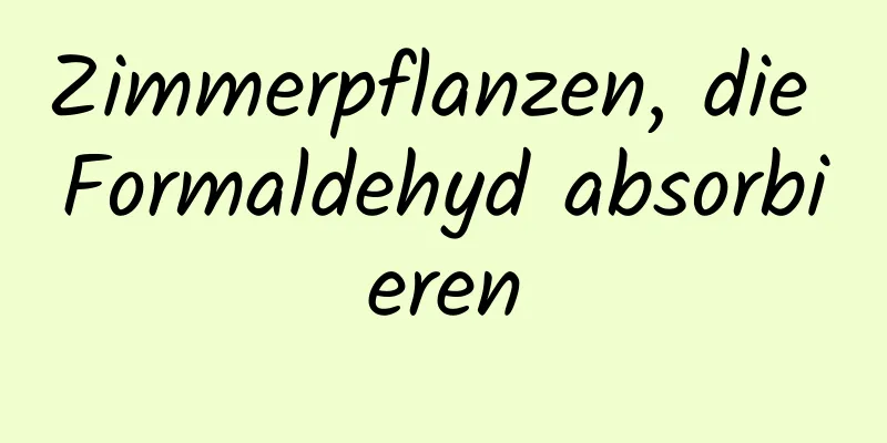 Zimmerpflanzen, die Formaldehyd absorbieren