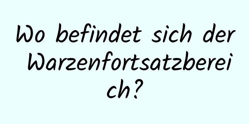 Wo befindet sich der Warzenfortsatzbereich?