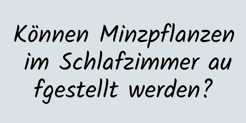 Können Minzpflanzen im Schlafzimmer aufgestellt werden?
