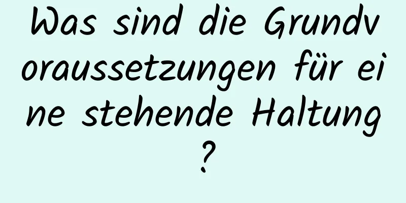 Was sind die Grundvoraussetzungen für eine stehende Haltung?