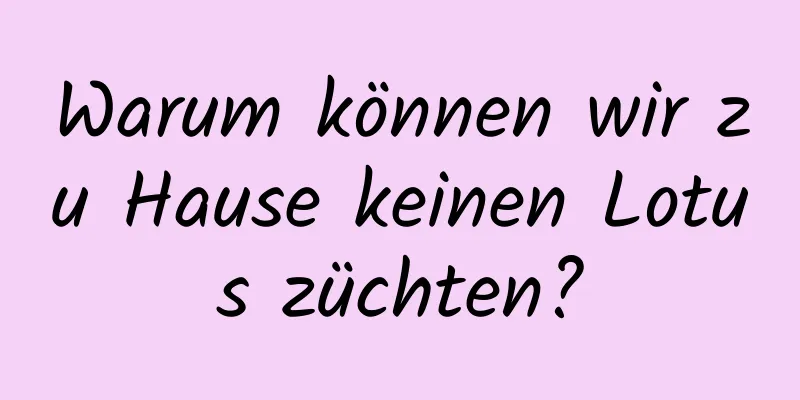 Warum können wir zu Hause keinen Lotus züchten?
