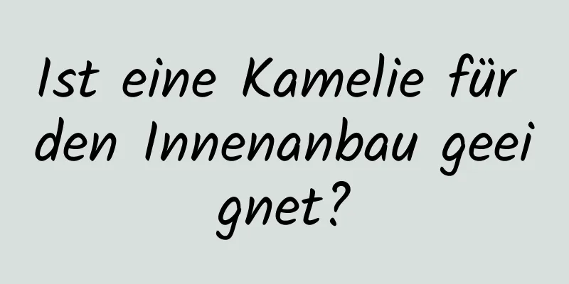 Ist eine Kamelie für den Innenanbau geeignet?
