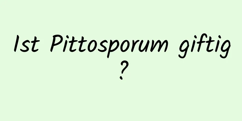 Ist Pittosporum giftig?