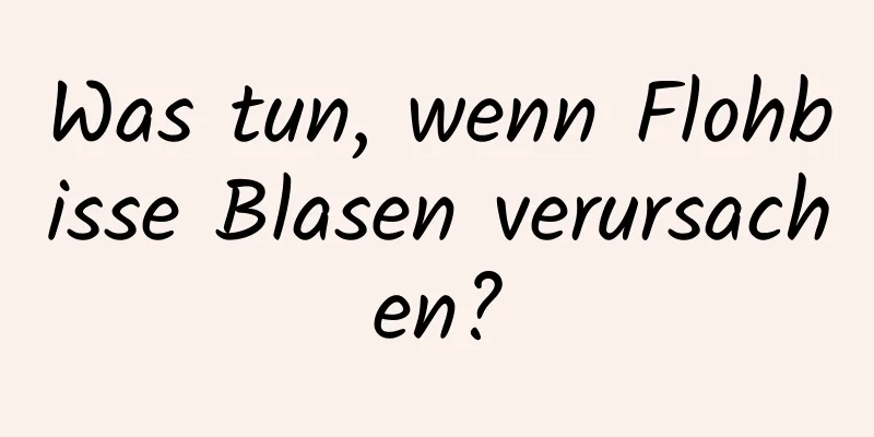 Was tun, wenn Flohbisse Blasen verursachen?