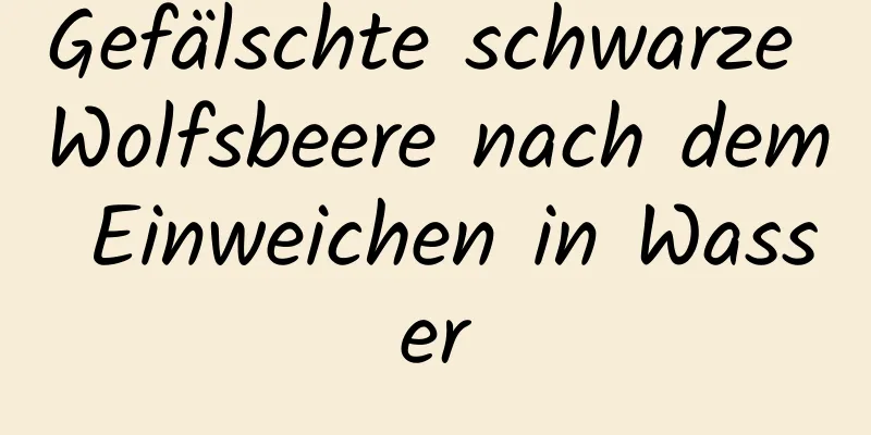 Gefälschte schwarze Wolfsbeere nach dem Einweichen in Wasser