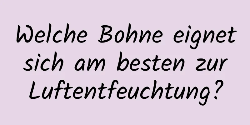 Welche Bohne eignet sich am besten zur Luftentfeuchtung?