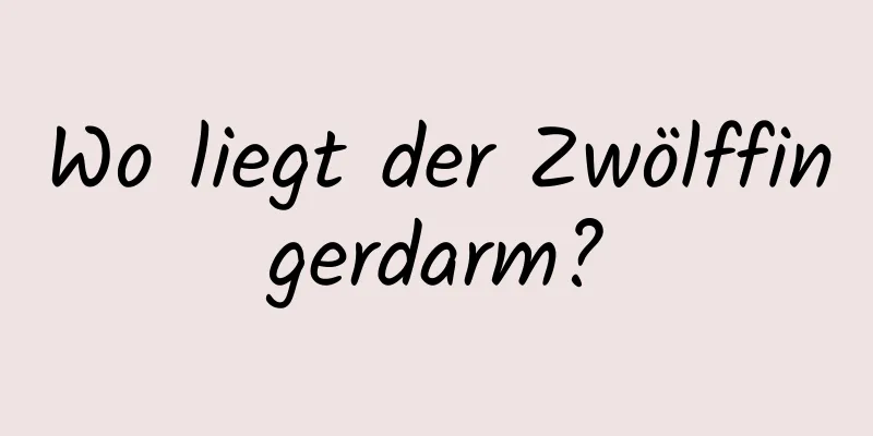 Wo liegt der Zwölffingerdarm?