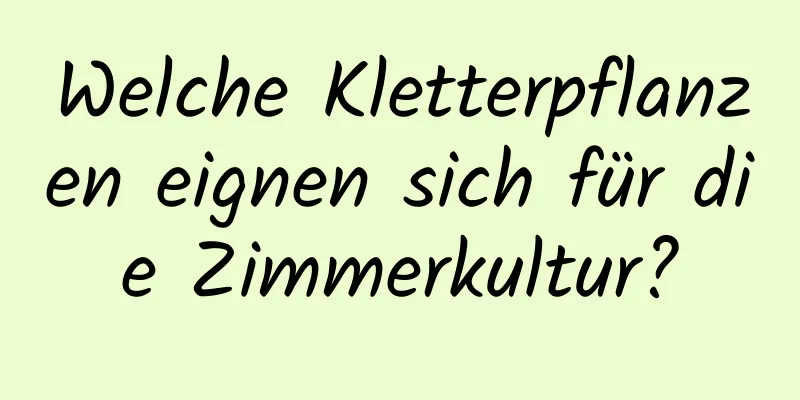 Welche Kletterpflanzen eignen sich für die Zimmerkultur?