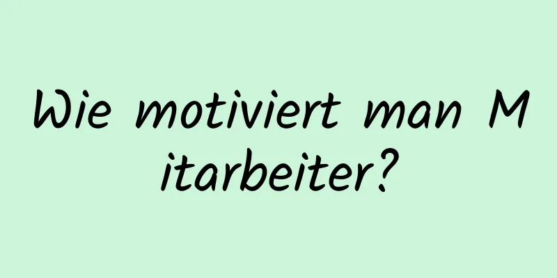 Wie motiviert man Mitarbeiter?