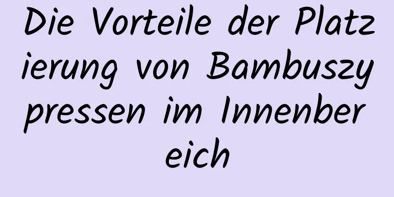 Die Vorteile der Platzierung von Bambuszypressen im Innenbereich