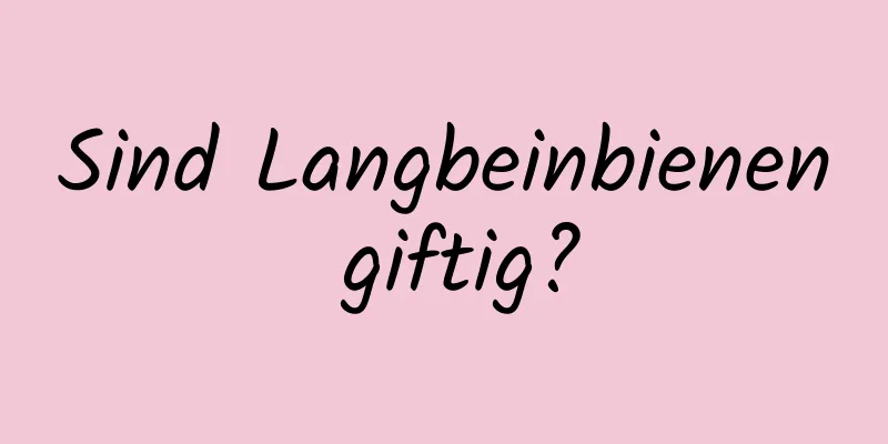 Sind Langbeinbienen giftig?