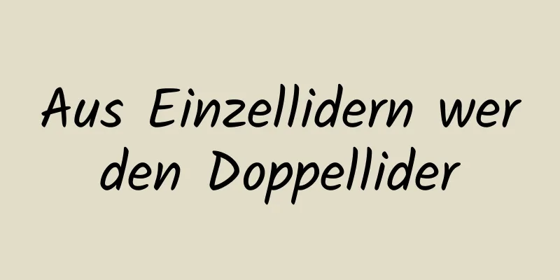 Aus Einzellidern werden Doppellider