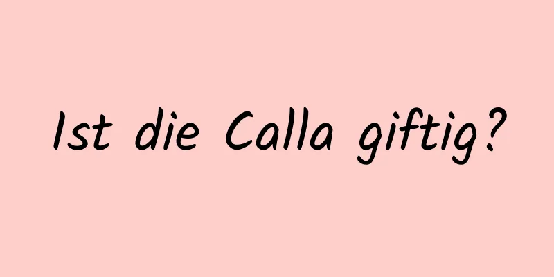 Ist die Calla giftig?