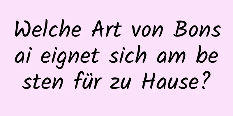 Welche Art von Bonsai eignet sich am besten für zu Hause?