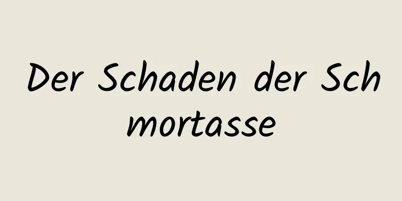 Der Schaden der Schmortasse
