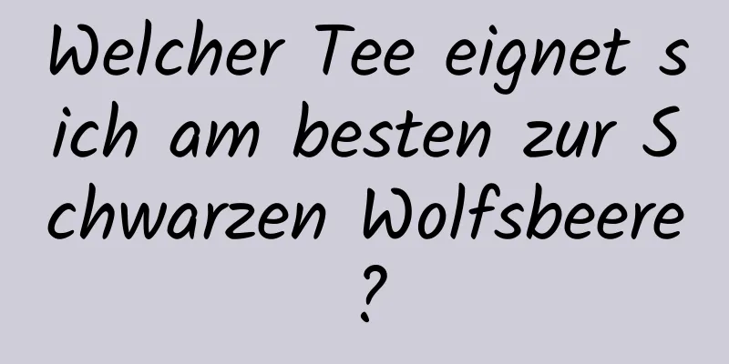 Welcher Tee eignet sich am besten zur Schwarzen Wolfsbeere?