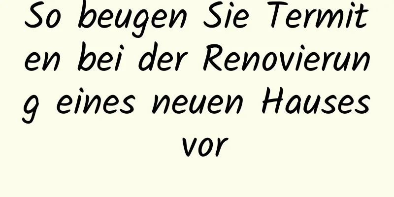 So beugen Sie Termiten bei der Renovierung eines neuen Hauses vor