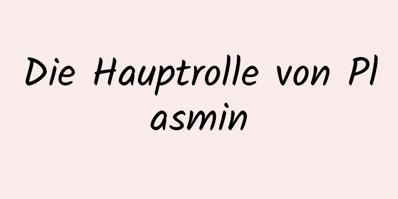 Die Hauptrolle von Plasmin