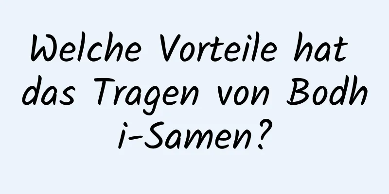 Welche Vorteile hat das Tragen von Bodhi-Samen?