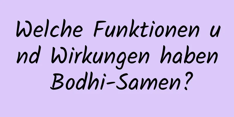 Welche Funktionen und Wirkungen haben Bodhi-Samen?