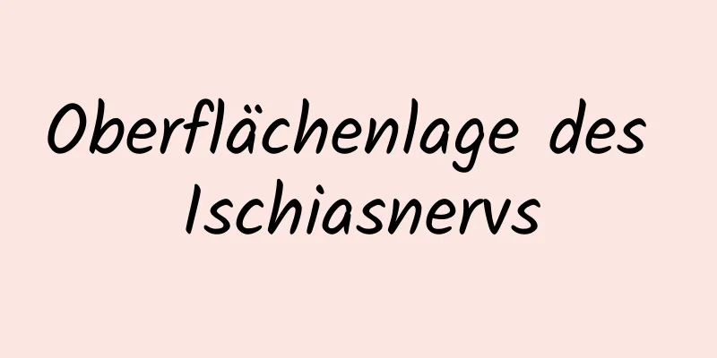 Oberflächenlage des Ischiasnervs