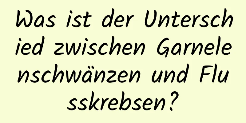 Was ist der Unterschied zwischen Garnelenschwänzen und Flusskrebsen?