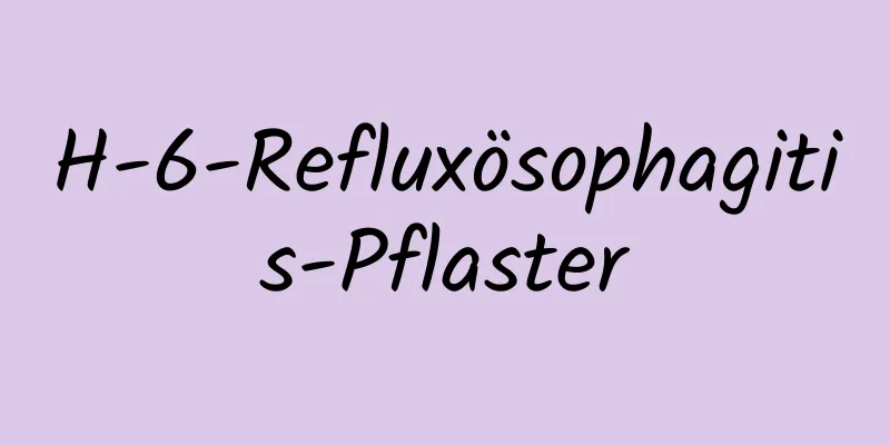 H-6-Refluxösophagitis-Pflaster