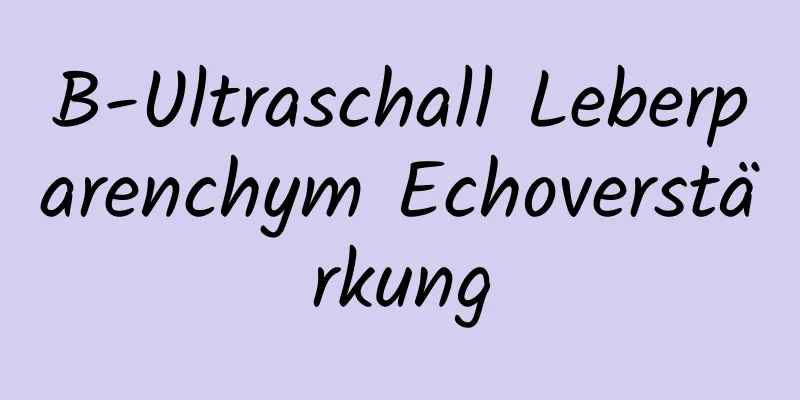 B-Ultraschall Leberparenchym Echoverstärkung