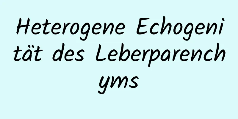 Heterogene Echogenität des Leberparenchyms