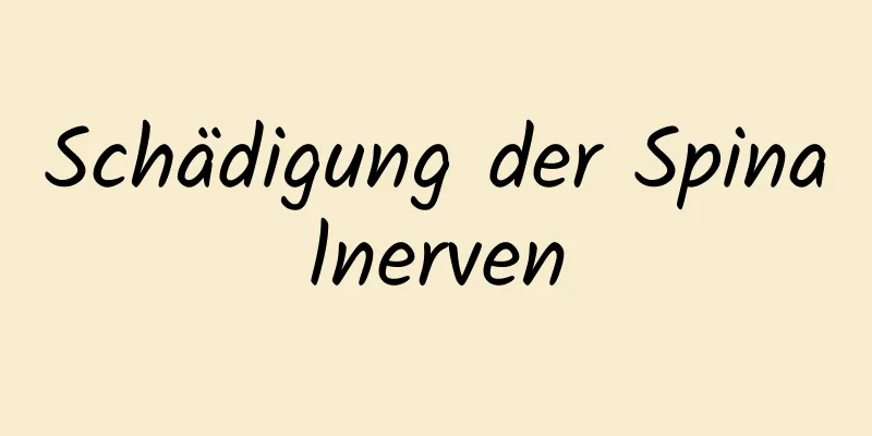 Schädigung der Spinalnerven