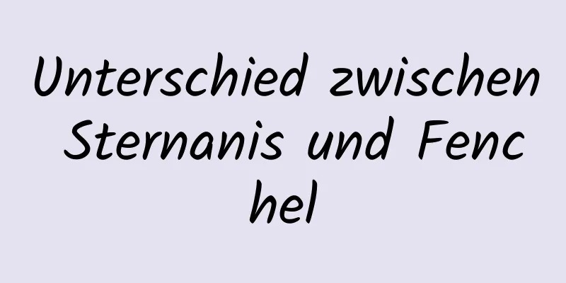 Unterschied zwischen Sternanis und Fenchel