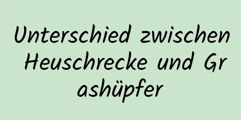 Unterschied zwischen Heuschrecke und Grashüpfer