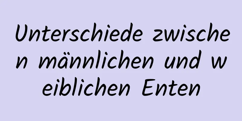 Unterschiede zwischen männlichen und weiblichen Enten