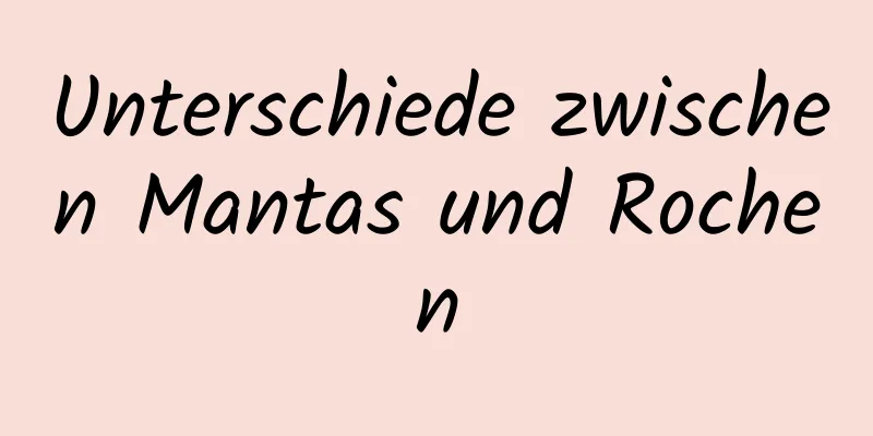 Unterschiede zwischen Mantas und Rochen